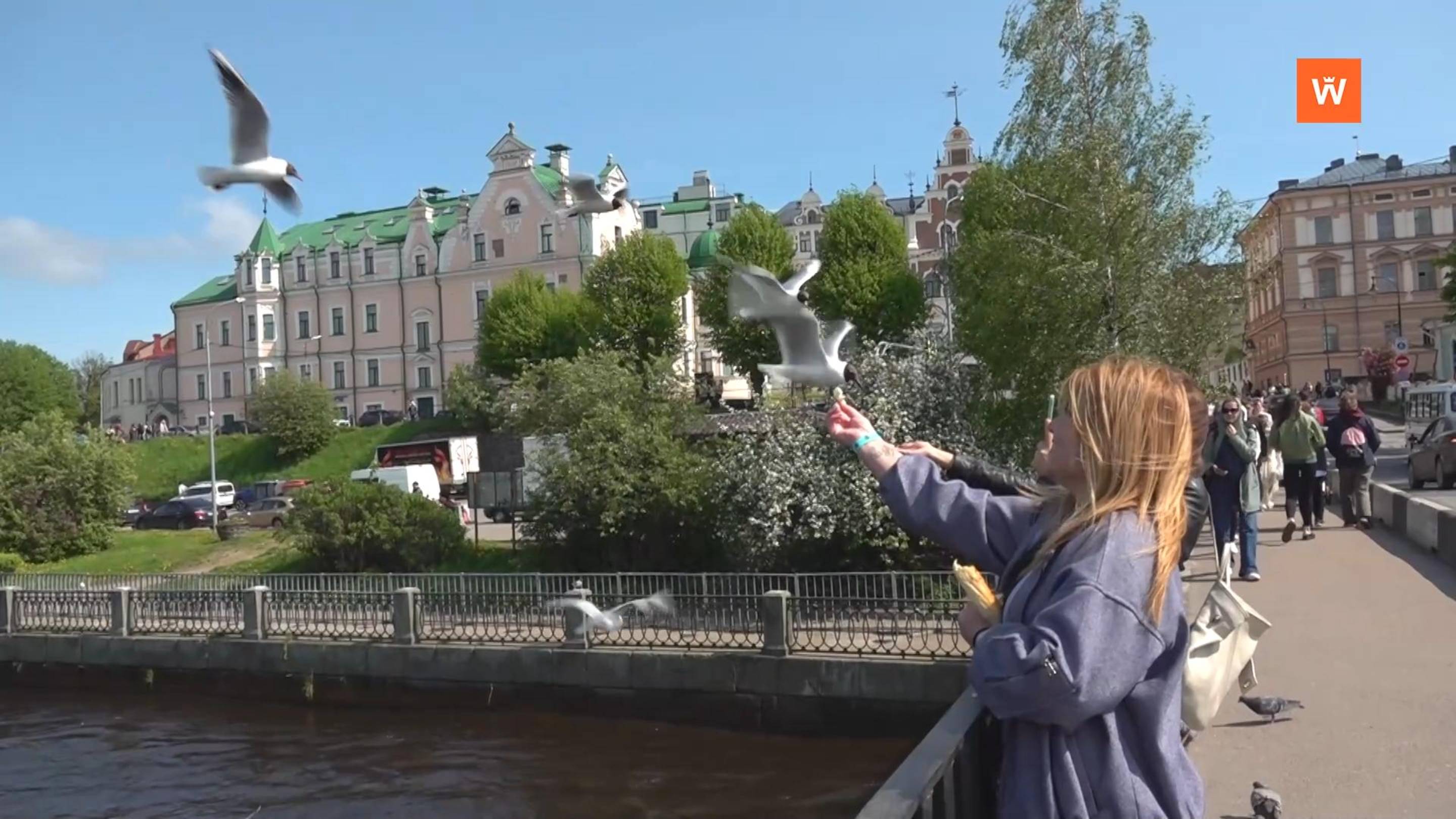 Программа «Город. Новости по-выборгски» от 9 октября 2025 года смотреть онлайн