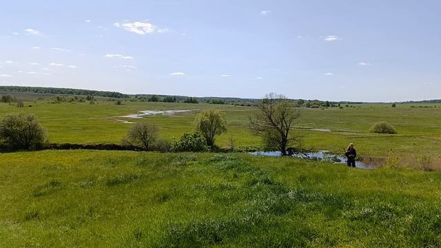 Стелла битве на р.Вожа 1378 г.