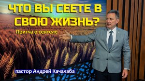 Что вы сеете в свою жизнь? | Притча о сеятеле