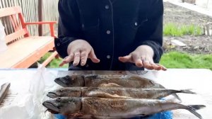 КОПТИМ РЫБКУ!!! ВСЕХ С МАЙСКИМИ ПРАЗДНИКАМИ!!!