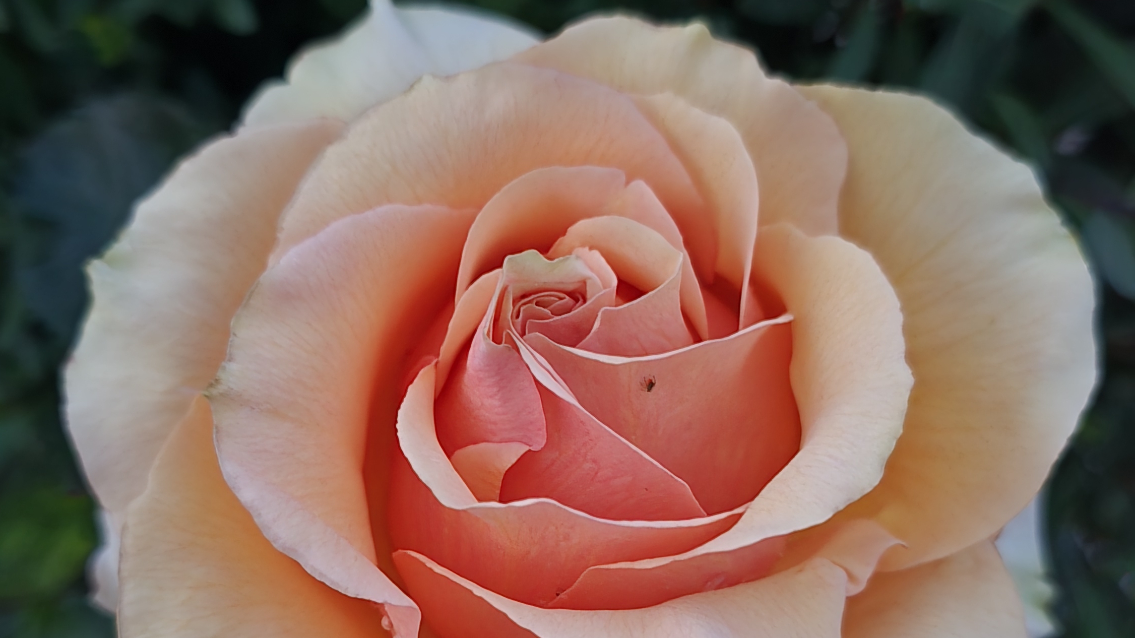 ✨️Скажи спасибо Богу перед сном!🙏❤️✨️ смотреть онлайн