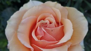 ✨️Скажи спасибо Богу перед сном!🙏❤️✨️