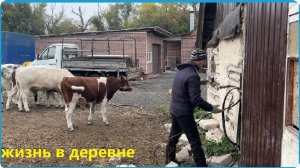 МЫ САМИ ВЫБРАЛИ ЭТОТ ПУТЬ, И НАС ВСЁ УСТРАИВАЕТ, ЖИЗНЬ В ДЕРЕВНЕ