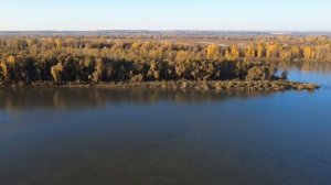 ЗОЛОТАЯ ОСЕНЬ. ПОЛЕТ НАД р.ОБЬ.Алтайский край