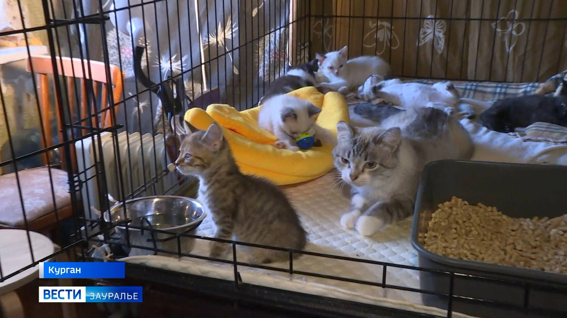 Дачный сезон подошёл к концу смотреть онлайн