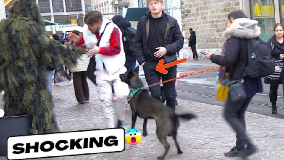 MOMENT DOG JUMPED ON BUSHMAN. (UNBELIEVABLE) смотреть онлайн