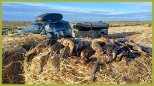 Попал на северную утру. Кончились патроны.