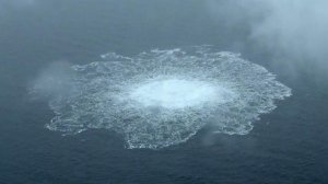 В Европе разгорается скандал из-за украинца, обвиняемого в терактах на "Северных потоках"