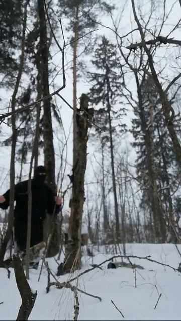 Крайне Северо Брутальный Ниндзя: Гризли встречает корягу (24.2.2021) Very Nord Brutal Ninja: Grizzly