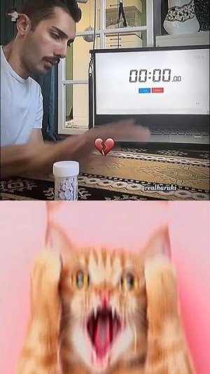 fast reflex 💀 #cat #meme #tiktok #trending