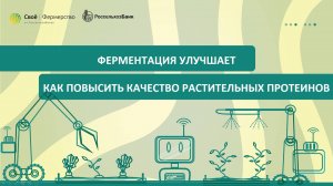 Ферментация улучшает: как повысить качество растительных протеинов