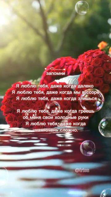 1000201795.mp4 смотреть онлайн