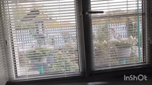 Ездили за молоком,что купила, как живут в русской деревне..