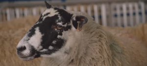 Телешоу "Ферма Кларксона", 1.05 (AlexFilm)