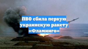 ПВО сбила первую украинскую ракету «Фламинго»