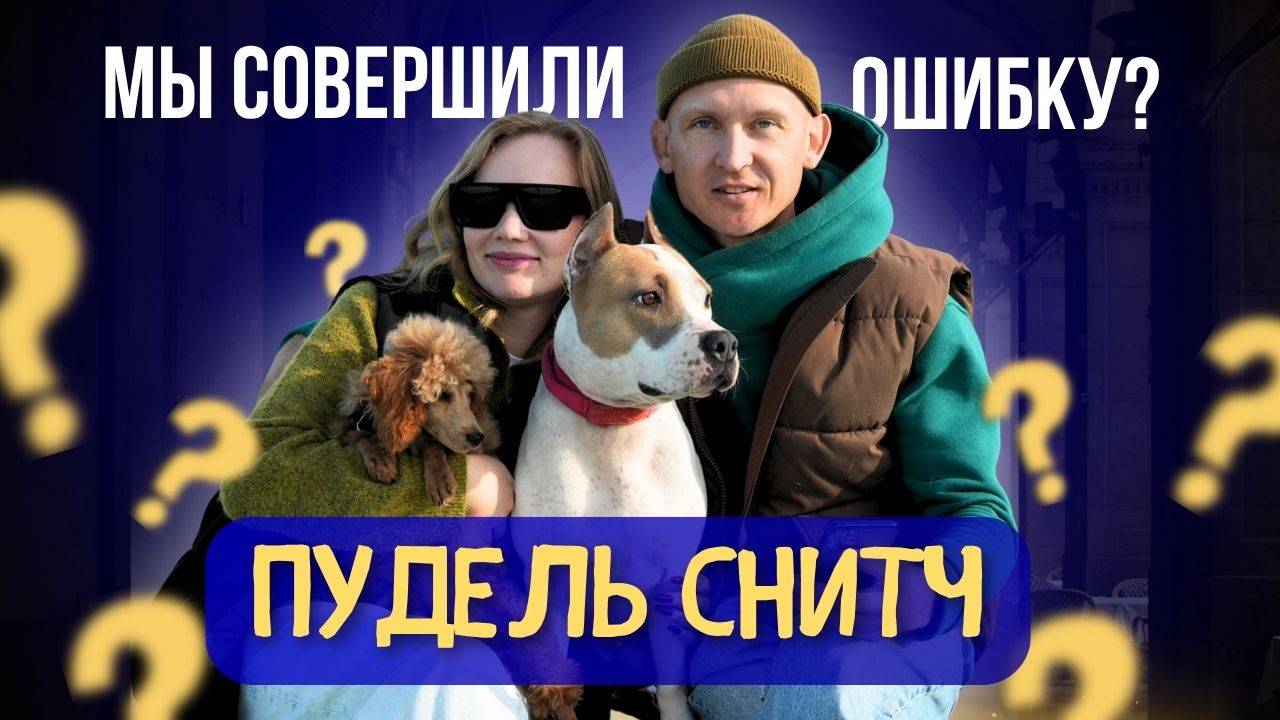 МЫ СОВЕРШИЛИ ОШИБКУ? Первый месяц с карликовым пуделем. Взгляд семьи. смотреть онлайн