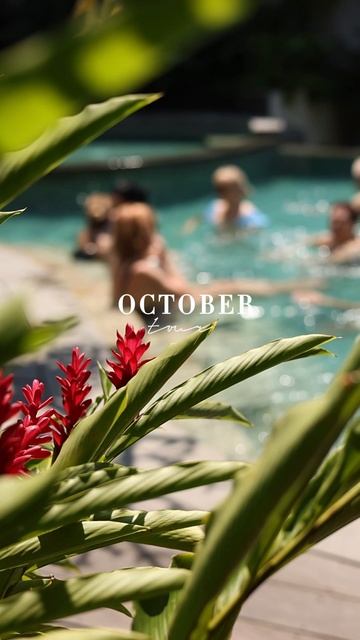 Переходите в описание👇🏻