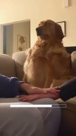 😂😂🤣🤣🤣☺
подписывайтесь на перчик🌶🌶 тут всё для хорошего настроения☺☺☺