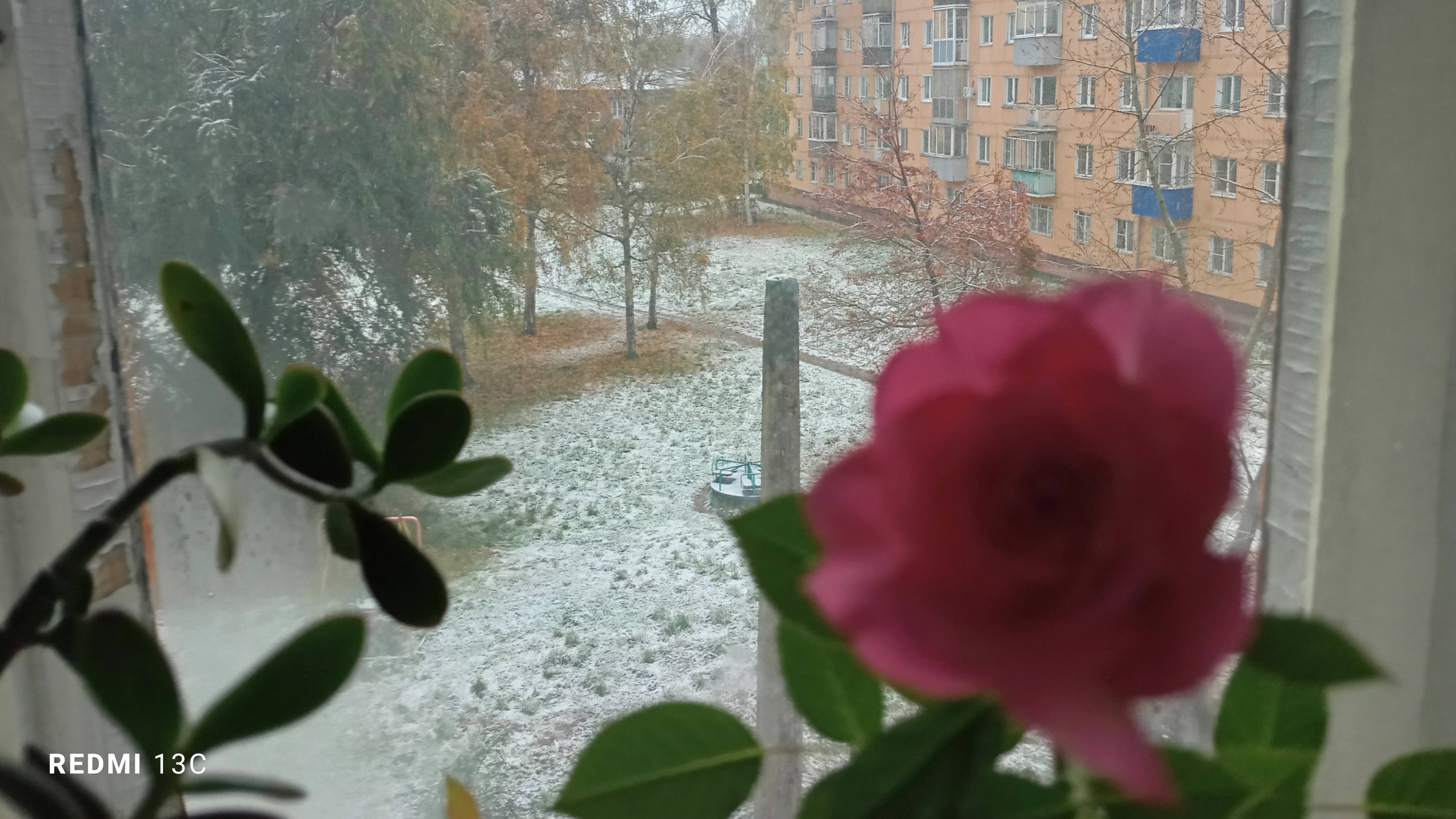 50+ время для дружбы🌹🌹🌹 смотреть онлайн