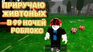 Я Приручил Животных! Новое Обновление В 99 Ночей В Лесу Роблокс // 99 Nights In The Forest