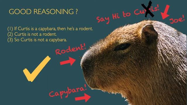 What Is Logic? | An Answer in 90 Seconds смотреть онлайн