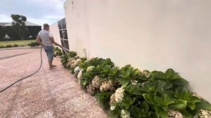 ДОБРОЕ УТРО, ДРУЗЬЯ! Я проснулась в райском месте, мы с вами гуляем по вилле Зубковых на Азорах)))