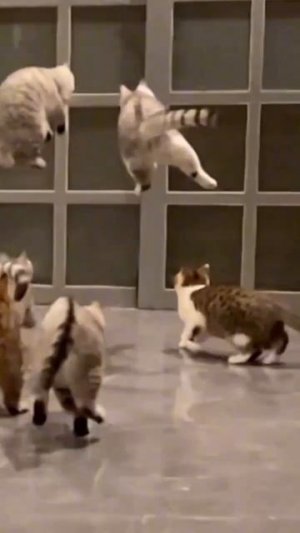 Кто первый?