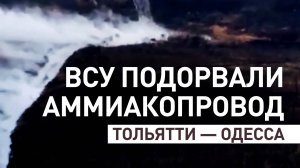 Пытались остановить продвижение ВС РФ: ВСУ взорвали аммиакопровод в ДНР