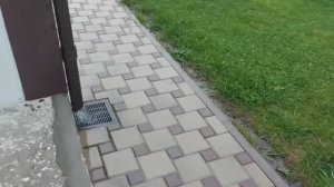 Дождались хорошего дождя!