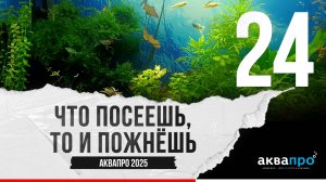 24. Что посеешь, то и пожнёшь. #АкваПро