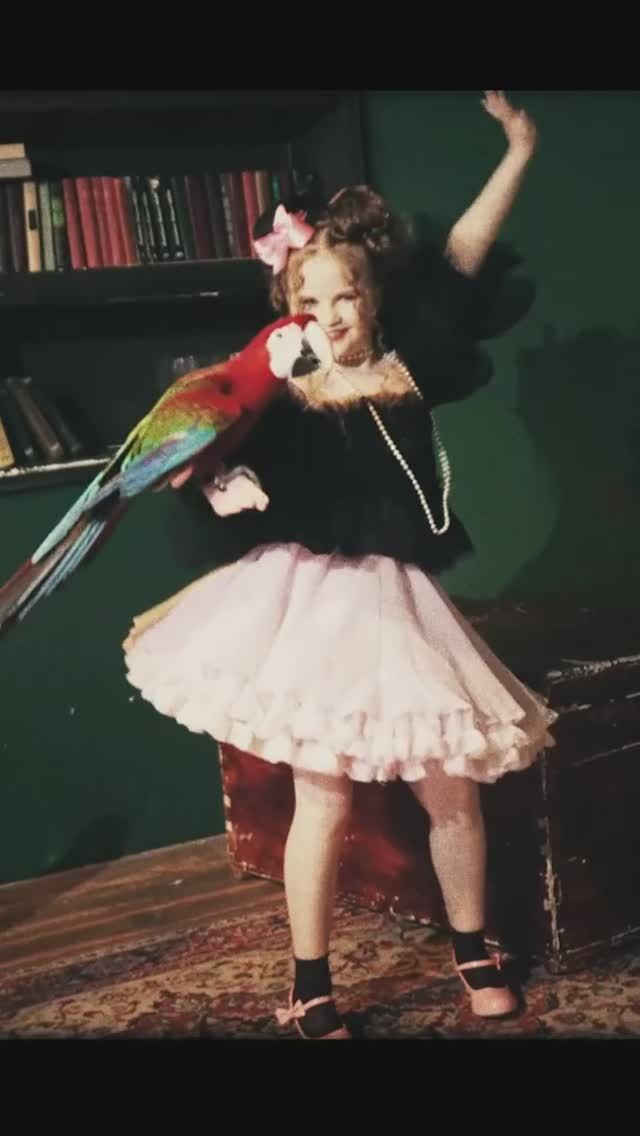 Фильм 🐒🎪🦜