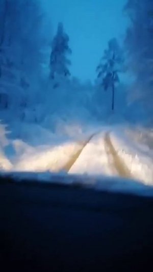 Полноценная зима с началом этой недели установилась в Иркутске и области, и снежный покров.