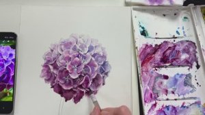 Как нарисовать гортензию акварелью. Мастер-класс.