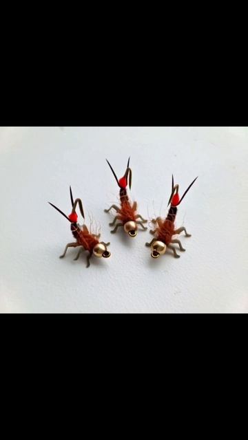 Мои мушки, нимфы и Нейросеть.