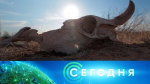 «Сегодня»: 9 октября 2025 года. 10:00 | Выпуск новостей | Новости НТВ