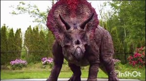 трицератопс