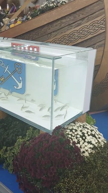 Российская агропромышленная выставка «Золотая осень». Зал регионов (8) смотреть онлайн