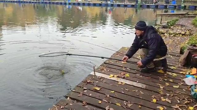 Поимка на стрейч смотреть онлайн