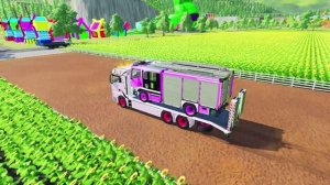 МУЛЬТИКИ ПРО МАШИНКИ. ЗАНИМАТЕЛЬНОЕ ВИДЕО ДЛЯ МАЛЫШЕЙ С КРАСОЧНЫМИ МАШИНКАМИ.