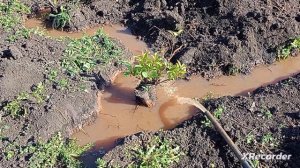 БУРЕНИЕ ПОД ВОДУ.🏡🎼 НОМЕР ТЕЛЕФОНА+7 987 407-92-07 БУЛАТ👍