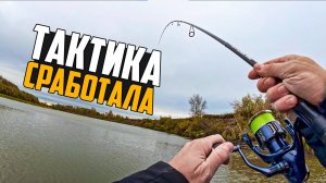 ИСКАЛ И НАШЕЛ! ЛОВЛЯ СУДАКА И ОКУНЯ НА СПИННИНГ В ОКТЯБРЕ 2025