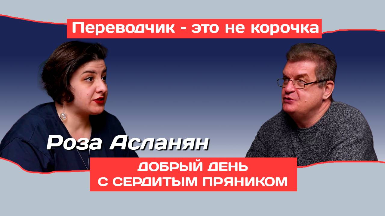 Почему быть аудиовизуальным переводчиком – это искусство | Добрый день с Сердитым пряником
