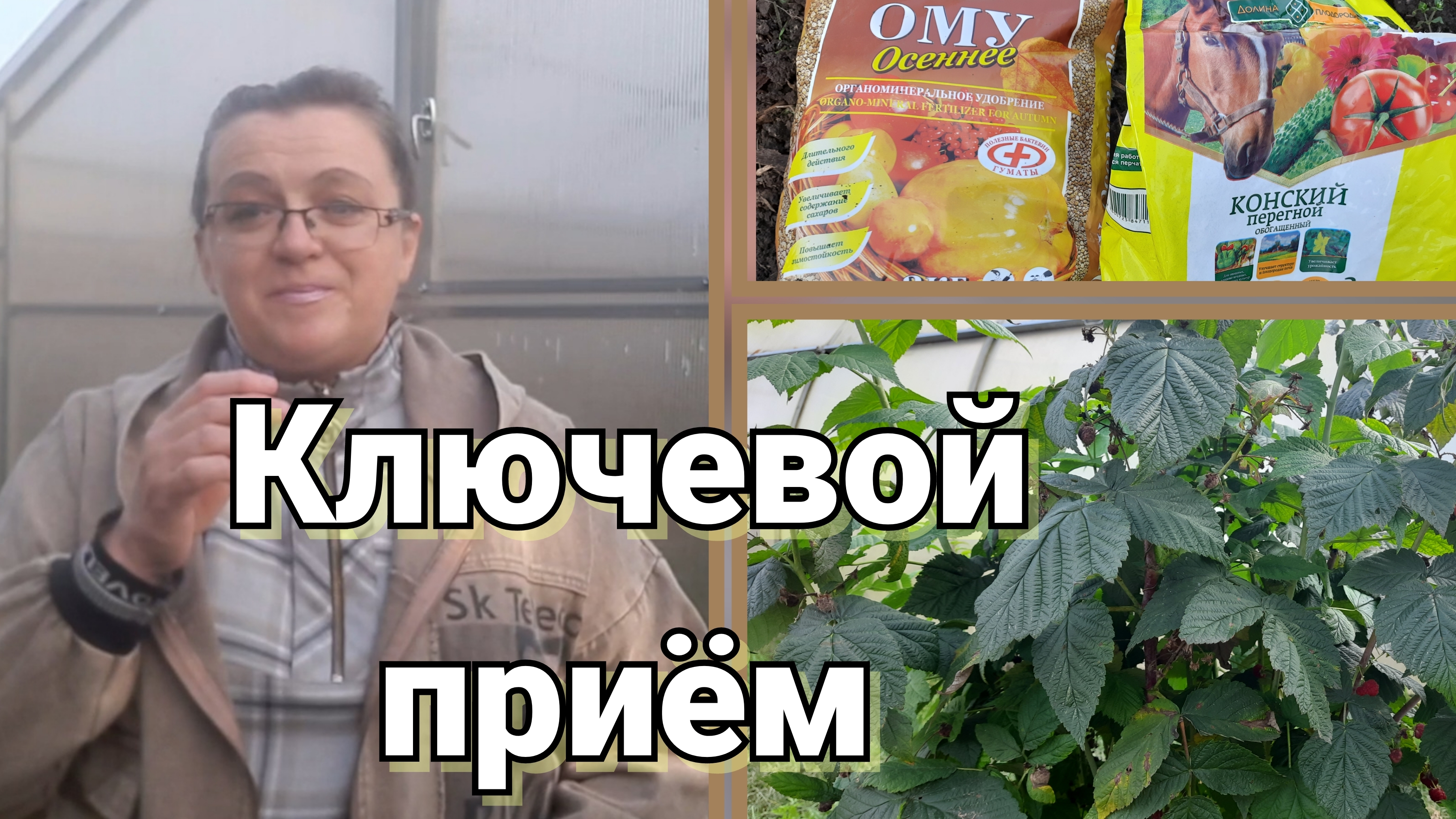 Ремонтантная малина. Подготовка к зиме смотреть онлайн