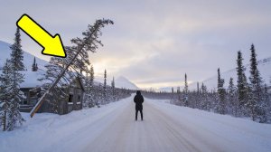 Тайга  Лесные истории   Истории из глуши  Таёжные истории