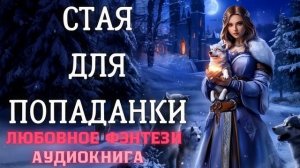 АУДИОКНИГА ЛЮБОВНОЕ ФЭНТЕЗИ: СТАЯ ДЛЯ ПОПАДАНКИ СЛУШАТЬ