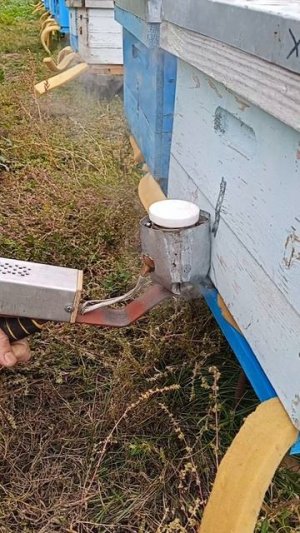 Очередной удар по клещу.