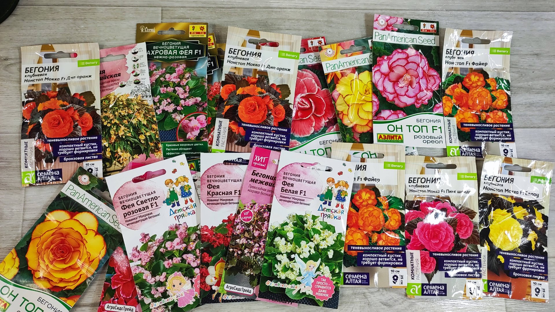 КАК ПРАВИЛЬНО ПОСЕЯТЬ БЕГОНИЮ! Присоединяйтесь к Телеграмм смотреть онлайн