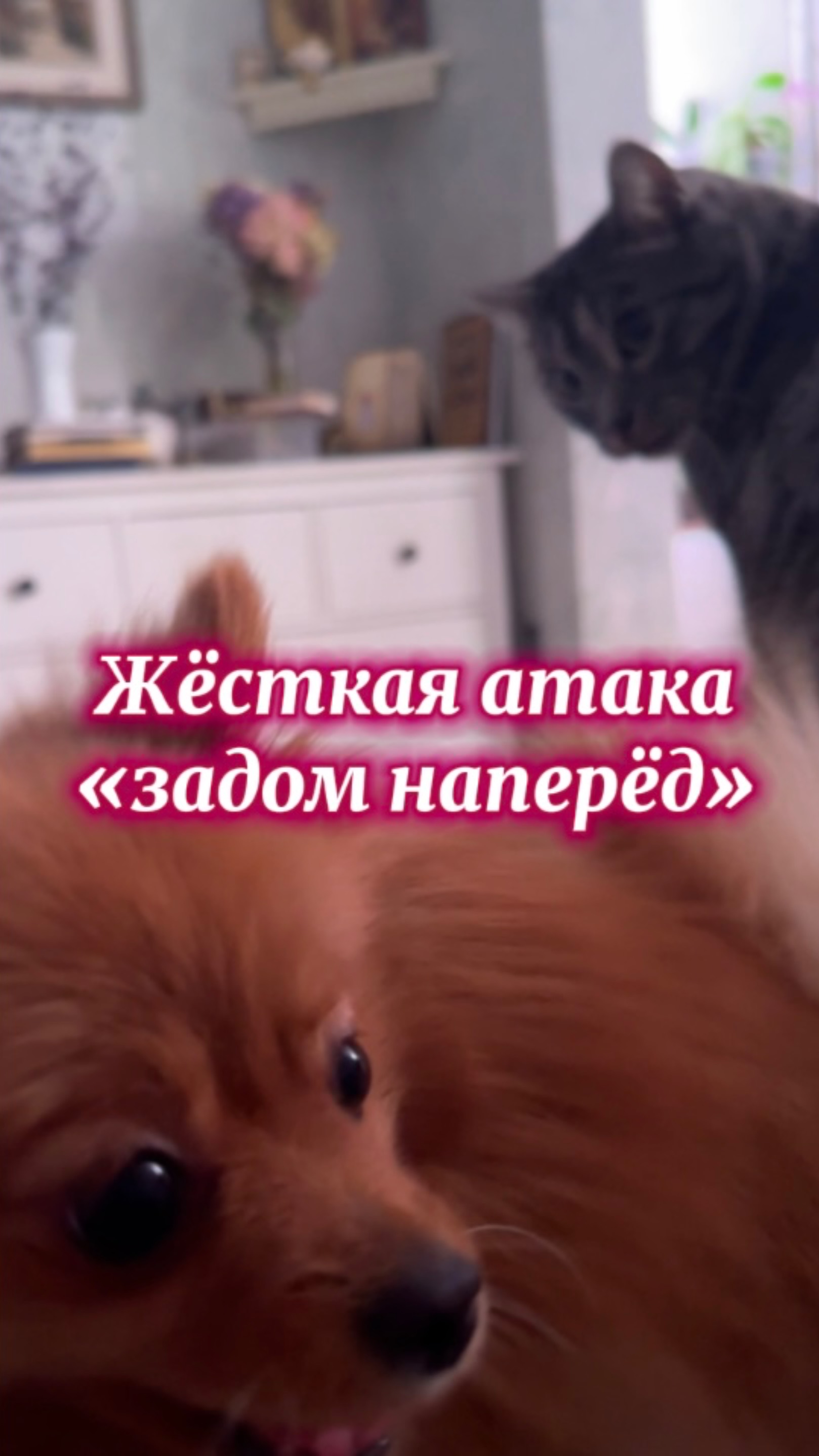 Слегка поссорились…