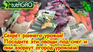 ДОЛГОЖДАННОЕ ВИДЕО! ЧТО ИЗ ОВОЩЕЙ ПОСЕЯТЬ ПОД ЗИМУ: от традиционных до неожиданных. Правила посева.