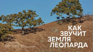 КАК ЗВУЧИТ ЗЕМЛЯ ЛЕОПАРДА. ГЛАВА ТРЕТЬЯ "ЭКОПАРК ЛЕОПАРДЫ НА ГАМОВА"